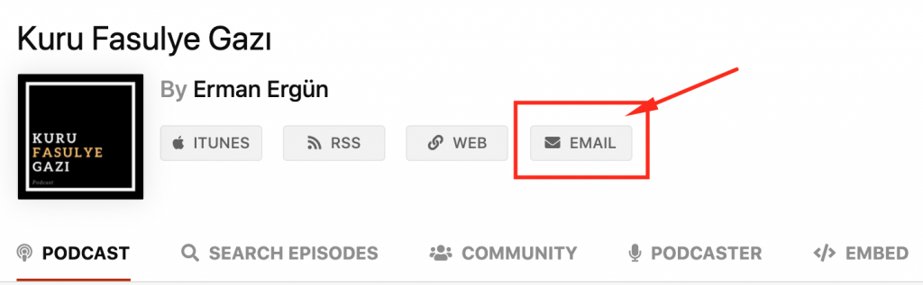 Google arama sonucu detay